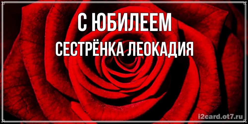 Открытка на каждый день с именем, Сестрёнка-Леокадия С юбилеем алая роза Прикольная открытка с пожеланием онлайн скачать бесплатно 
