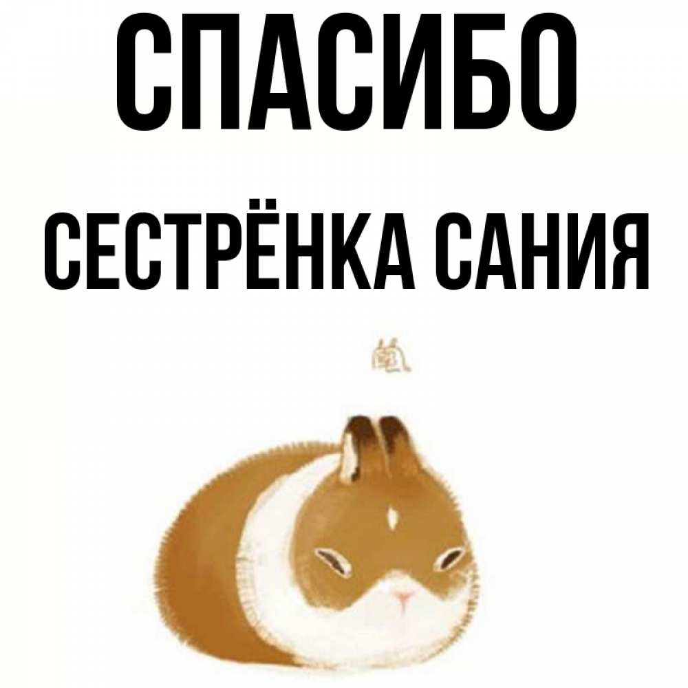 Открытка на каждый день с именем, Сестрёнка-Сания Спасибо коричнево белый домашний питомец Прикольная открытка с пожеланием онлайн скачать бесплатно 