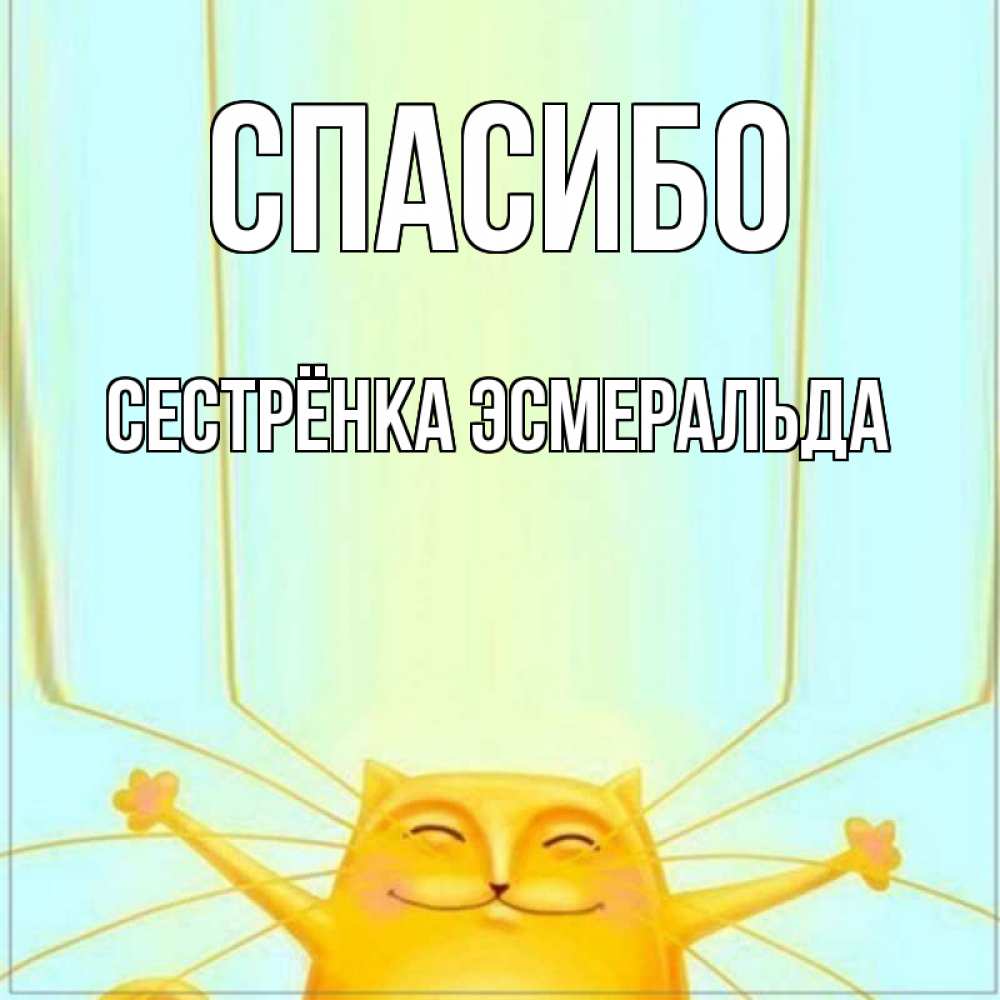 Открытка на каждый день с именем, Сестрёнка-Эсмеральда Спасибо кот с усами благодарит Прикольная открытка с пожеланием онлайн скачать бесплатно 
