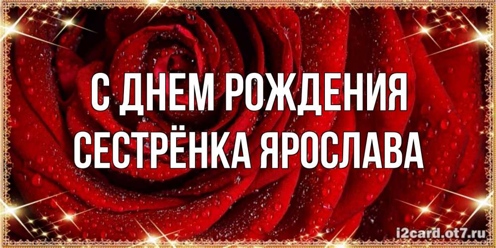 Открытка на каждый день с именем, Сестрёнка-Ярослава С днем рождения роса на розе блестящая в лучах солнца Прикольная открытка с пожеланием онлайн скачать бесплатно 