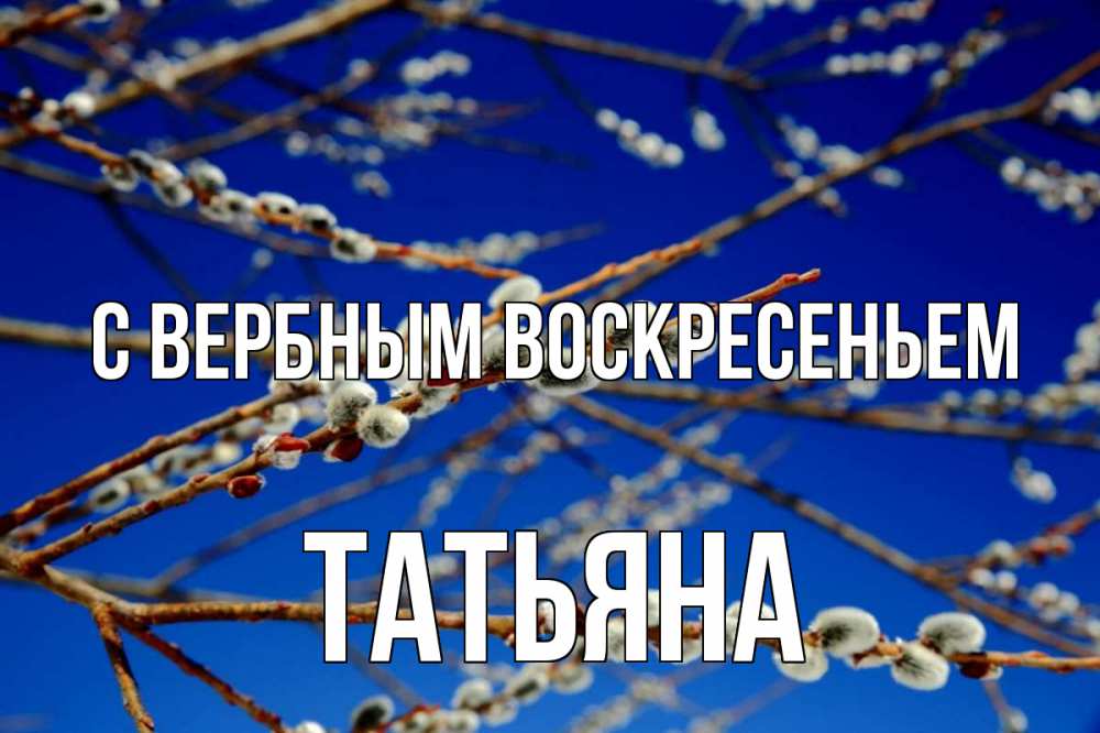 Открытка на каждый день с именем, Татьяна С вербным воскресеньем верба Прикольная открытка с пожеланием онлайн скачать бесплатно 