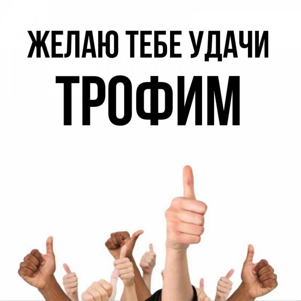 Открытка на каждый день с именем, Трофим Желаю тебе удачи молодцом Прикольная открытка с пожеланием онлайн скачать бесплатно 