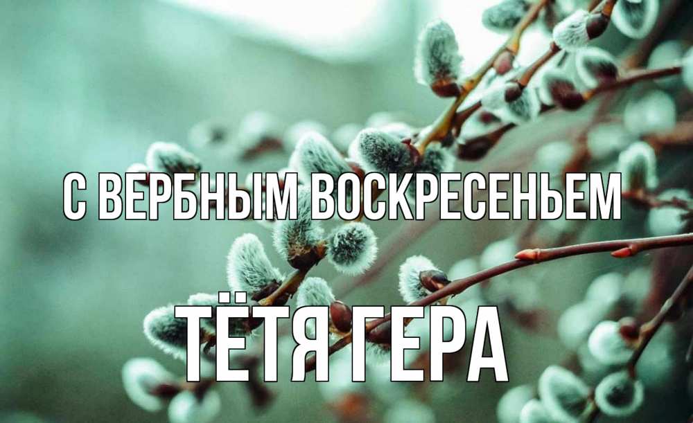 Открытка на каждый день с именем, Тётя-Гера С вербным воскресеньем верба Прикольная открытка с пожеланием онлайн скачать бесплатно 