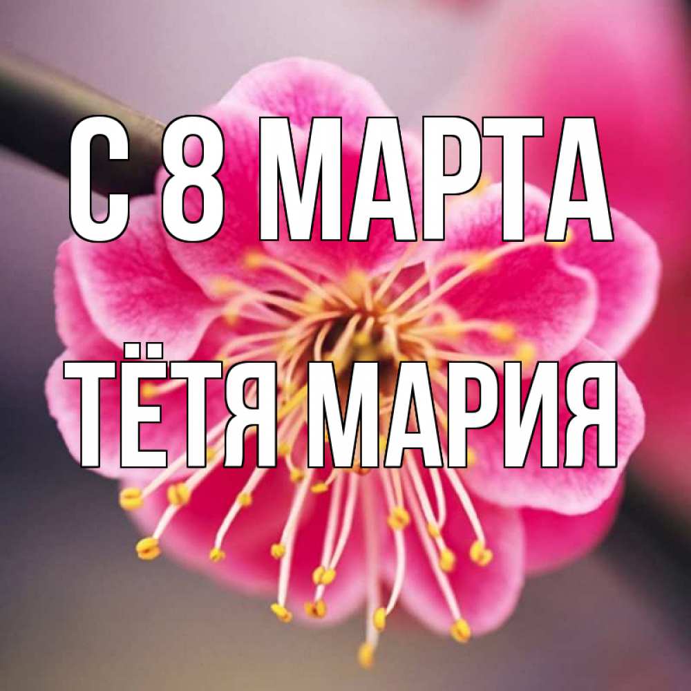 Открытка на каждый день с именем, Тётя-Мария С 8 МАРТА цветы Прикольная открытка с пожеланием онлайн скачать бесплатно 