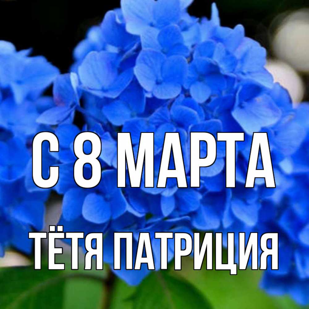 Открытка на каждый день с именем, Тётя-Патриция С 8 марта синие цветы Прикольная открытка с пожеланием онлайн скачать бесплатно 