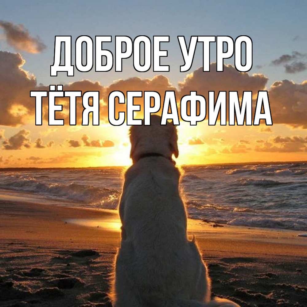 Открытка на каждый день с именем, Тётя-Серафима Доброе утро восход солнца Прикольная открытка с пожеланием онлайн скачать бесплатно 