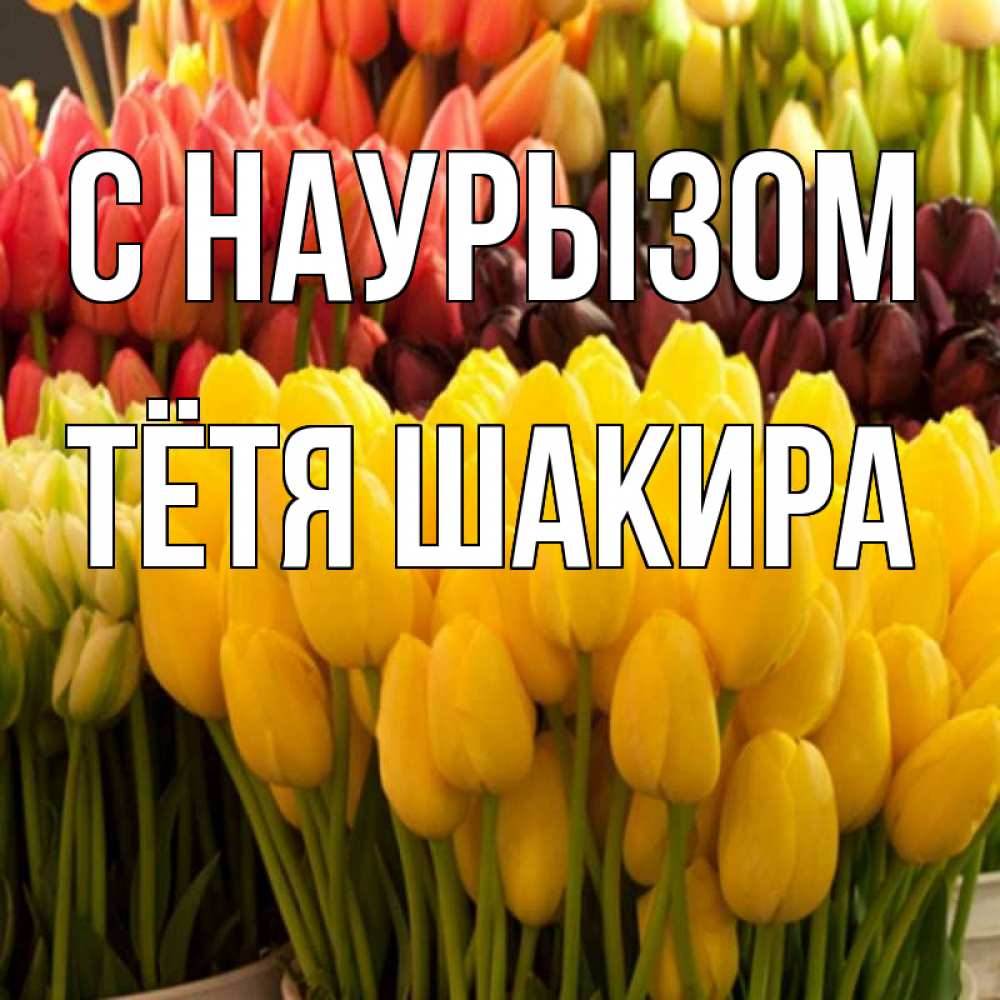 Открытка на каждый день с именем, Тётя-Шакира С наурызом цветы Прикольная открытка с пожеланием онлайн скачать бесплатно 