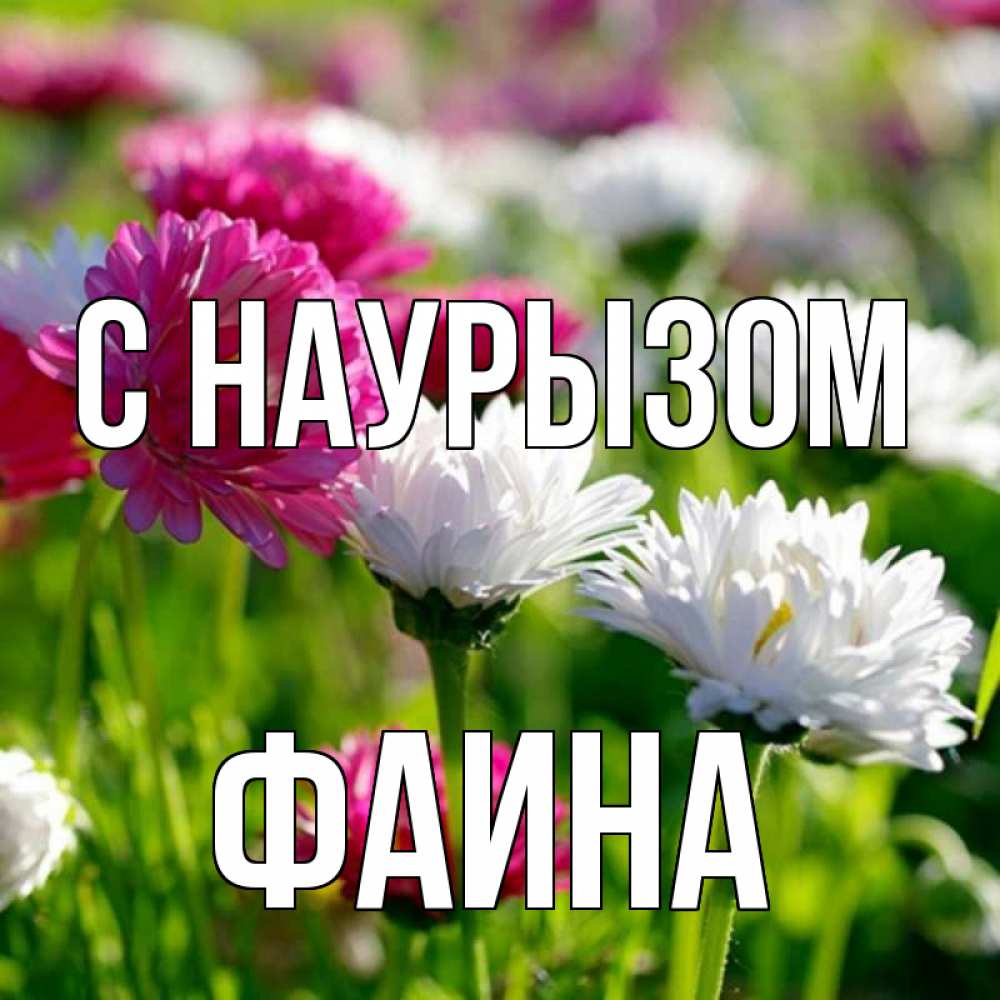 Открытка на каждый день с именем, Фаина С наурызом праздник весны наурыз красота Прикольная открытка с пожеланием онлайн скачать бесплатно 