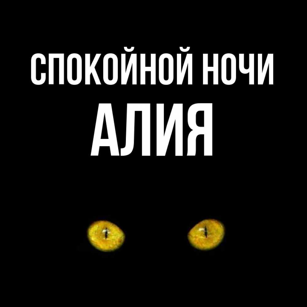 Картинки котом, картинки с именем алла прикольные
