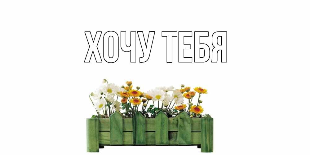 Картинка  с именем , Хочу тебя