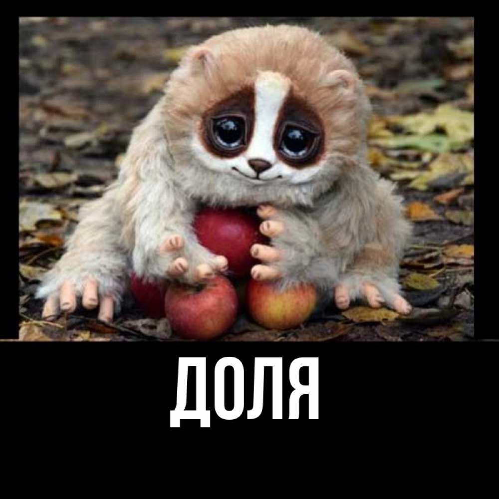 Открытка на каждый день с именем, Доля Главная прикольное животное Прикольная открытка с пожеланием онлайн скачать бесплатно 