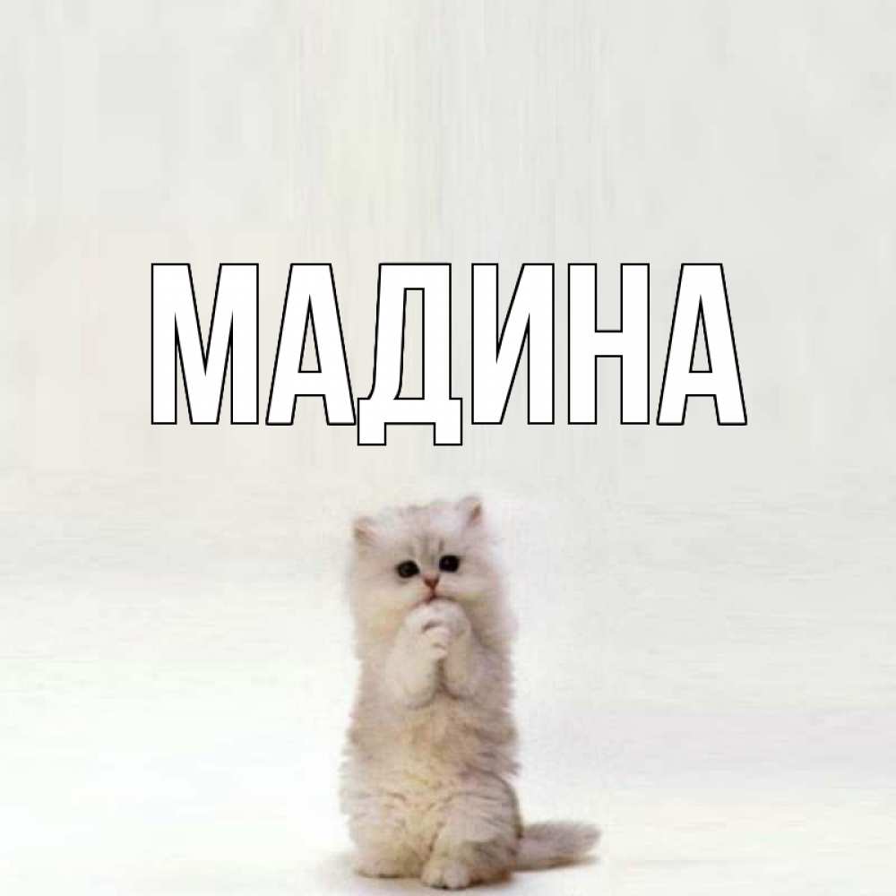 Имена открытка с именем мадина, утро картинки