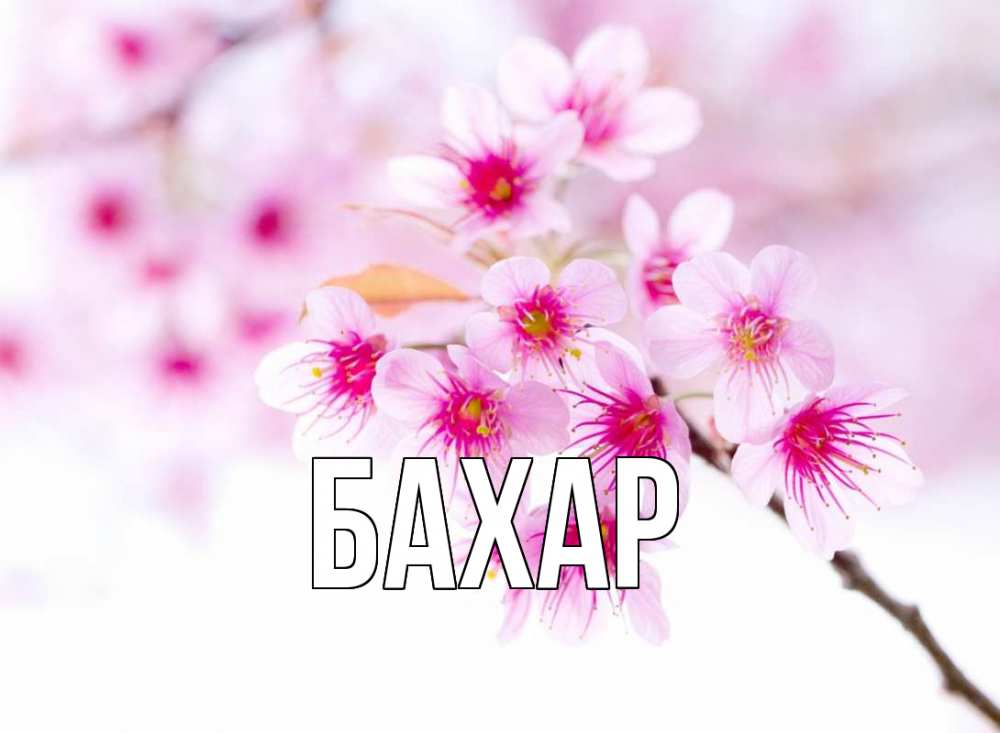 Открытка на каждый день с именем, Бахар Главная С 1 мая 2 Прикольная открытка с пожеланием онлайн скачать бесплатно 