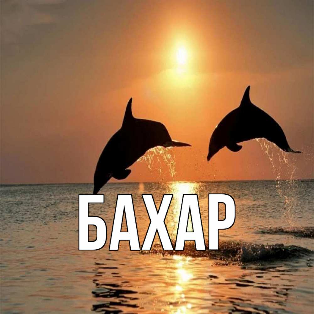 Открытка на каждый день с именем, Бахар Главная рыбы на закате Прикольная открытка с пожеланием онлайн скачать бесплатно 