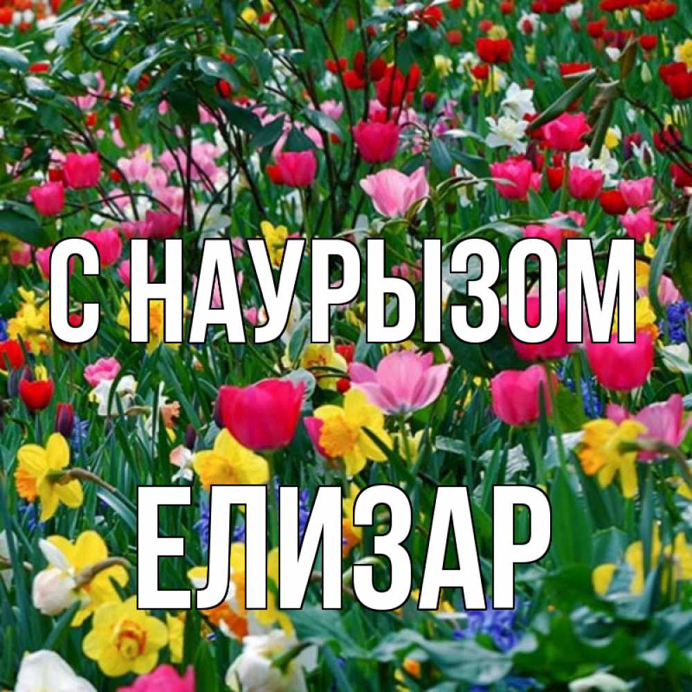Открытка на каждый день с именем, Елизар С наурызом с наурызом праздником весны поздравления для женщины Прикольная открытка с пожеланием онлайн скачать бесплатно 