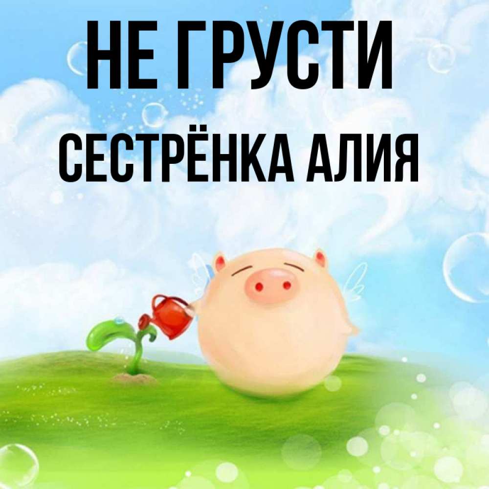 Цитаты про сестренку. Открытка на др сестре. Сестрёнка с днем рожденич. Не рад сестре. Поздравление сташейсестре.
