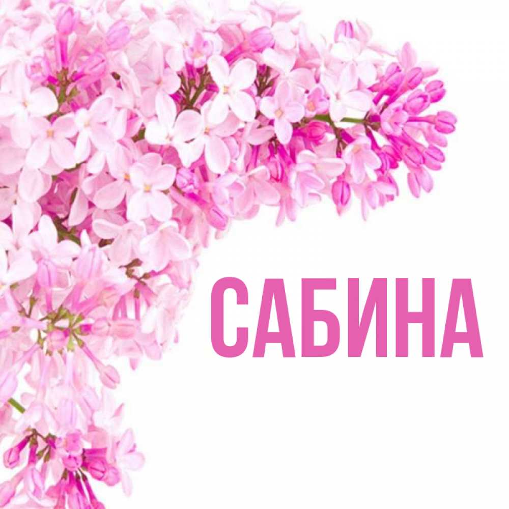 Сабина картинки с именем