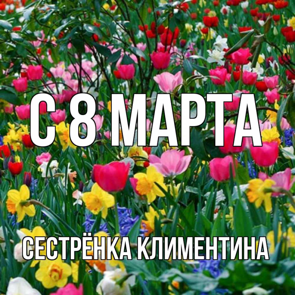 Открытка на каждый день с именем, Сестрёнка-Климентина С 8 МАРТА с международным женским днем поздравления для женщины Прикольная открытка с пожеланием онлайн скачать бесплатно 