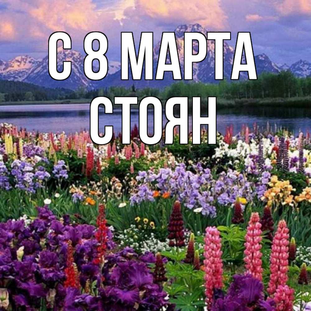 Открытка на каждый день с именем, Стоян С 8 марта международный женский день Прикольная открытка с пожеланием онлайн скачать бесплатно 