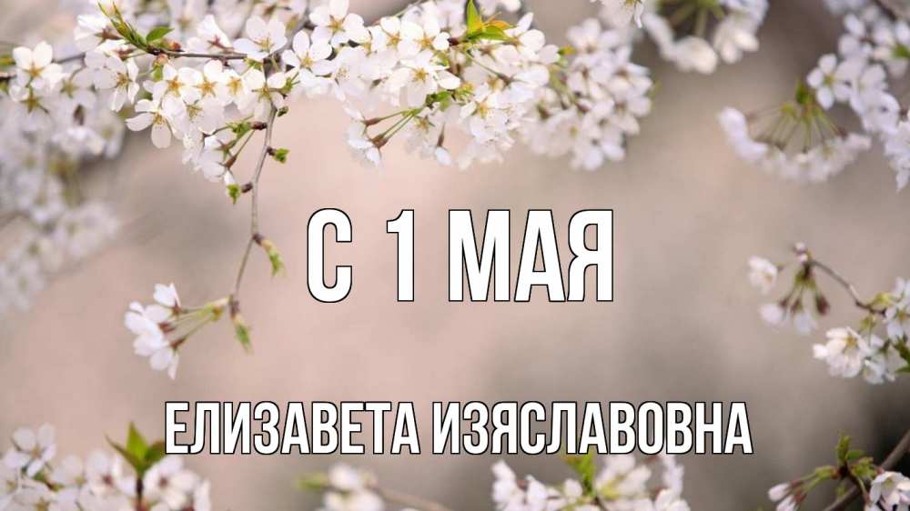 Запись на май картинка