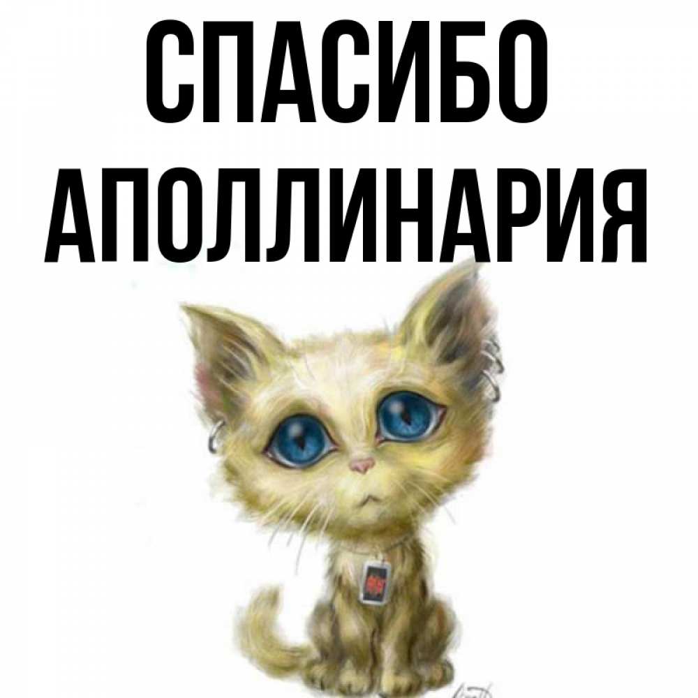 Открытка на каждый день с именем, Аполлинария Спасибо рисованный кот благодарит вас Прикольная открытка с пожеланием онлайн скачать бесплатно 