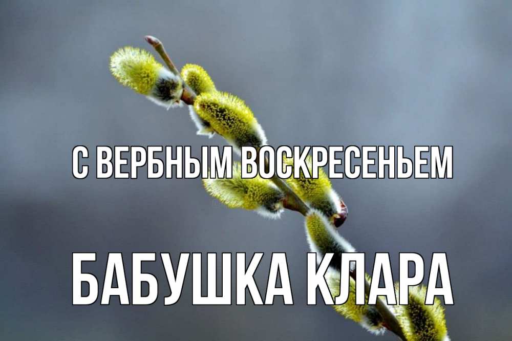 Открытка на каждый день с именем, Бабушка-Клара С вербным воскресеньем верба Прикольная открытка с пожеланием онлайн скачать бесплатно 