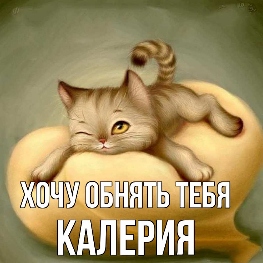 Открытка на каждый день с именем, Калерия Хочу обнять тебя кошечка Прикольная открытка с пожеланием онлайн скачать бесплатно 