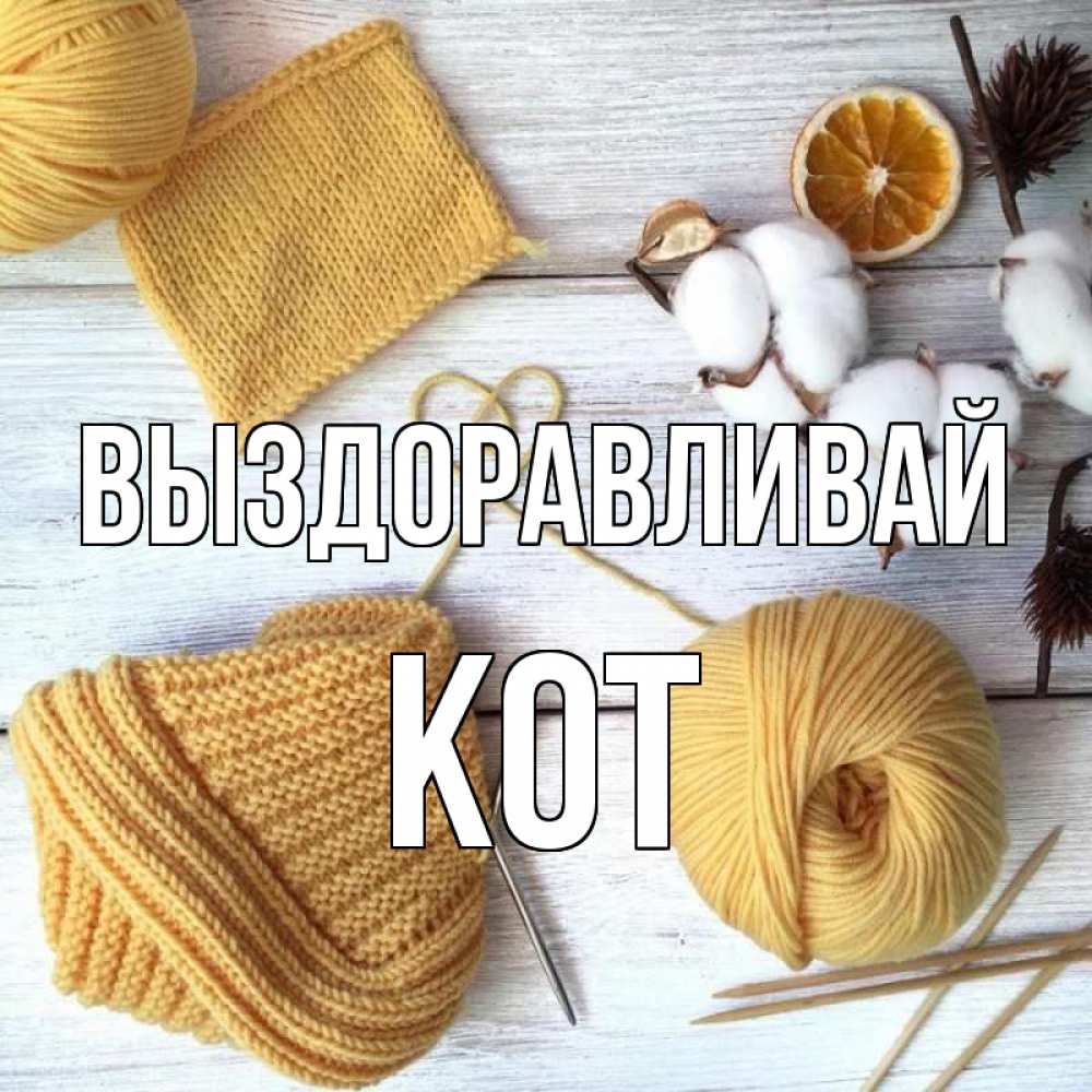 Открытка на каждый день с именем, Кот Выздоравливай выздоравливай Прикольная открытка с пожеланием онлайн скачать бесплатно 