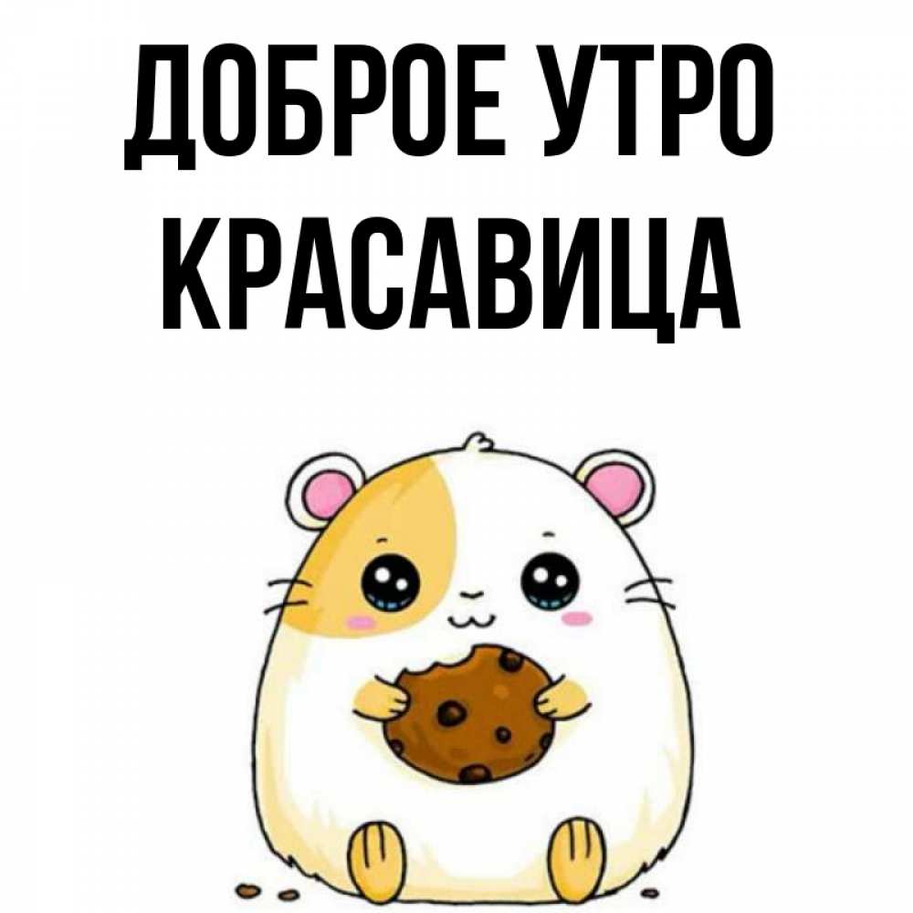 Открытка на каждый день с именем, Красавица Доброе утро есть печеньку. Утречко Прикольная открытка с пожеланием онлайн скачать бесплатно 