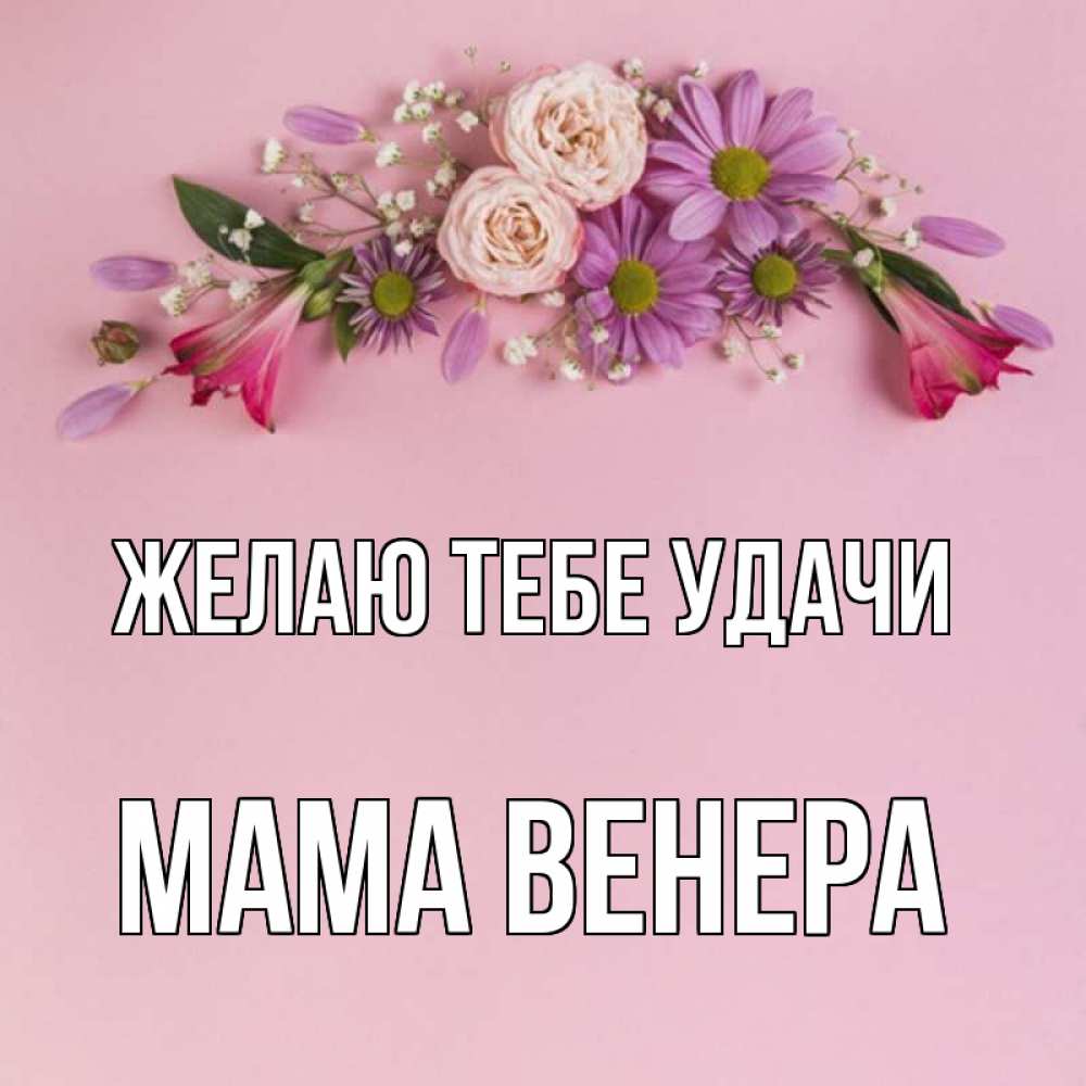 Открытка на каждый день с именем, Мама-Венера Желаю тебе удачи розовый фон Прикольная открытка с пожеланием онлайн скачать бесплатно 