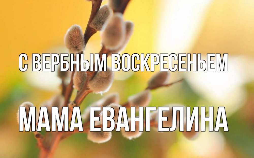 Открытка на каждый день с именем, Мама-Евангелина С вербным воскресеньем верба Прикольная открытка с пожеланием онлайн скачать бесплатно 