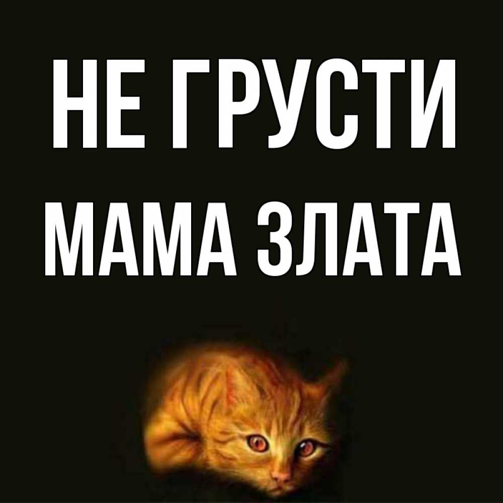 Открытка на каждый день с именем, Мама-Злата Не грусти лежащий кот в темноте Прикольная открытка с пожеланием онлайн скачать бесплатно 