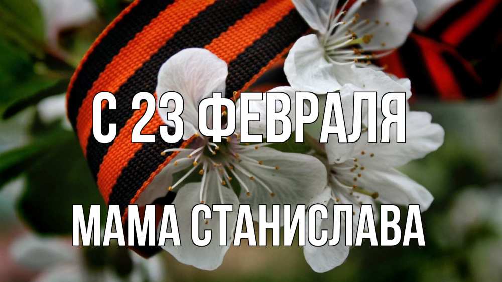 Открытка на каждый день с именем, Мама-Станислава С 23 февраля 23 февраля Прикольная открытка с пожеланием онлайн скачать бесплатно 