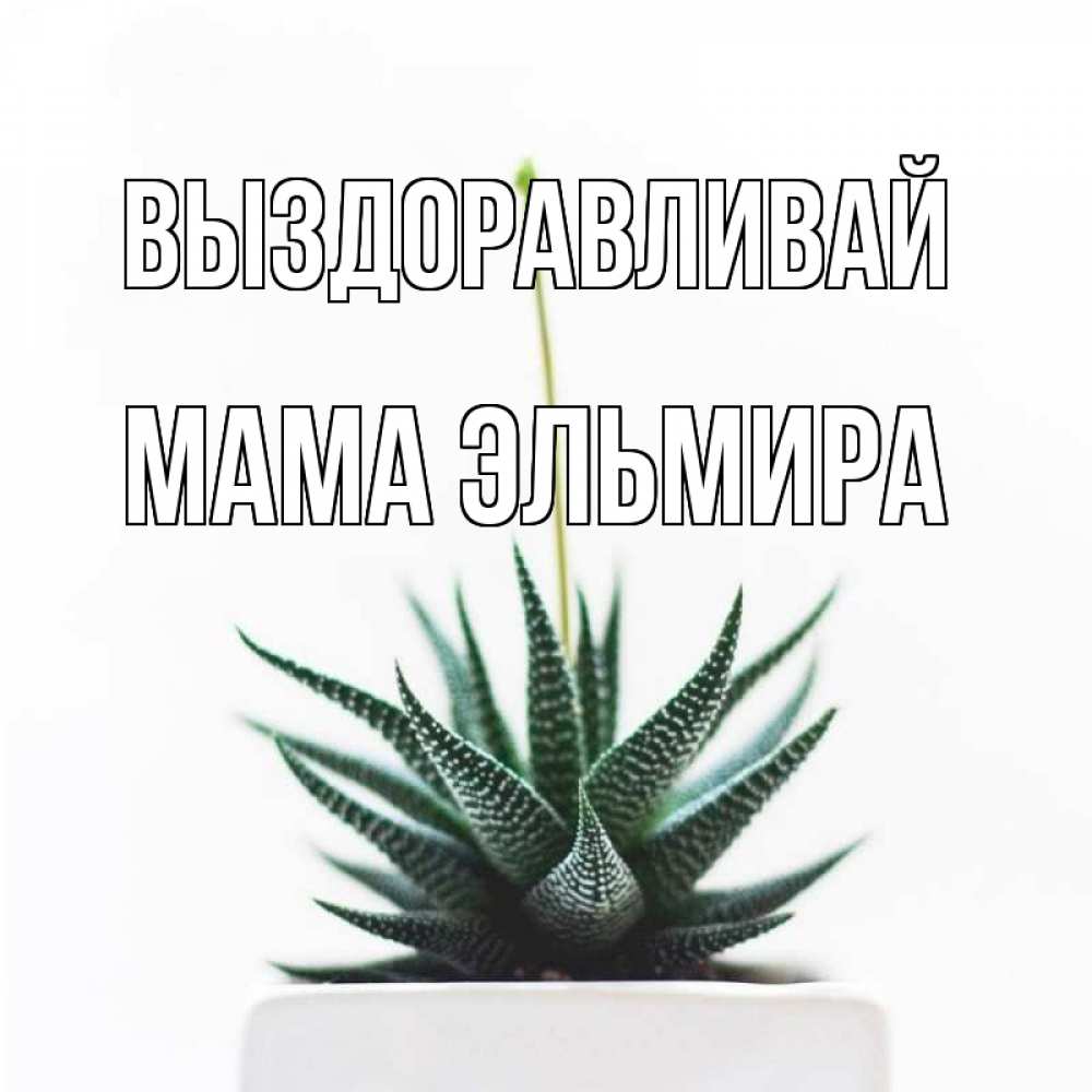 Открытка на каждый день с именем, Мама-Эльмира Выздоравливай короче это непонятная колючка Прикольная открытка с пожеланием онлайн скачать бесплатно 