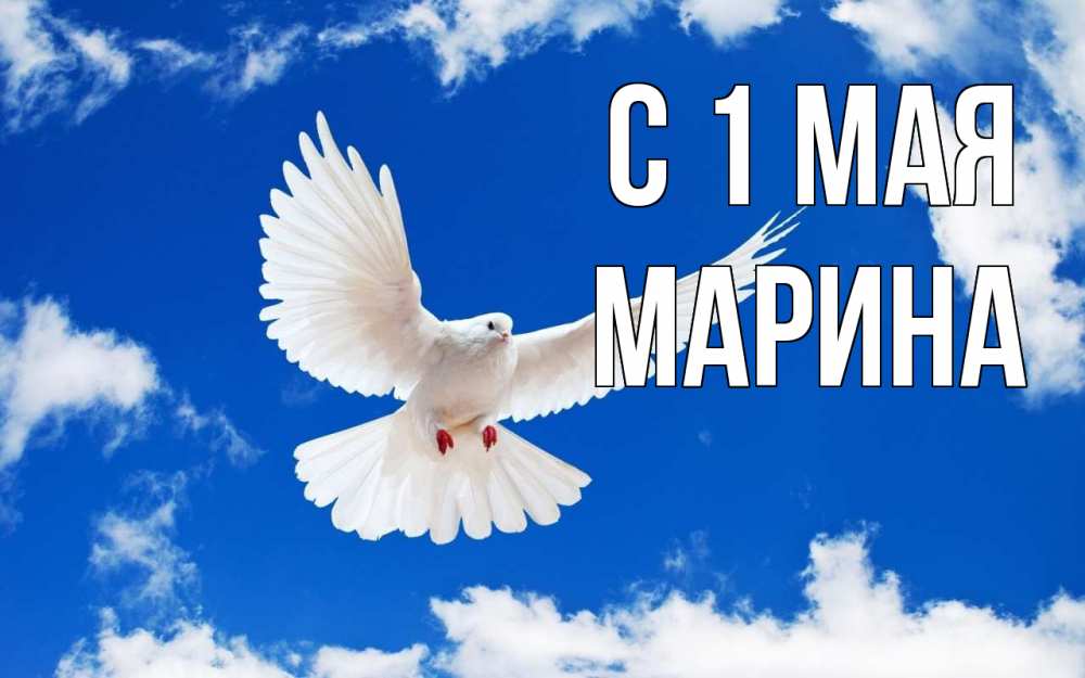 Открытка на каждый день с именем, Марина С 1 мая С 1 мая 1 Прикольная открытка с пожеланием онлайн скачать бесплатно 