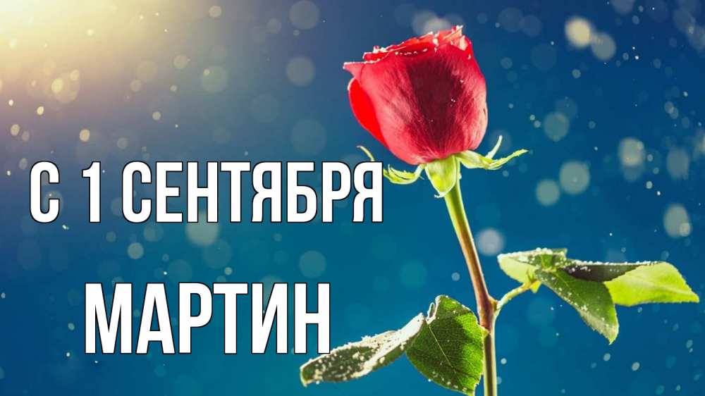 Открытка на каждый день с именем, Мартин С 1 сентября с днем знаний Прикольная открытка с пожеланием онлайн скачать бесплатно 