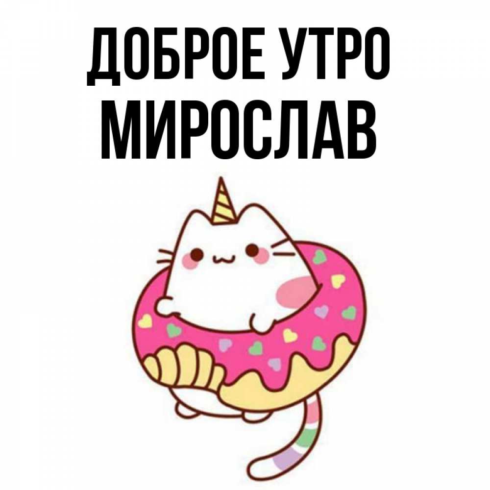 Открытка на каждый день с именем, Мирослав Доброе утро кот в бублике Прикольная открытка с пожеланием онлайн скачать бесплатно 