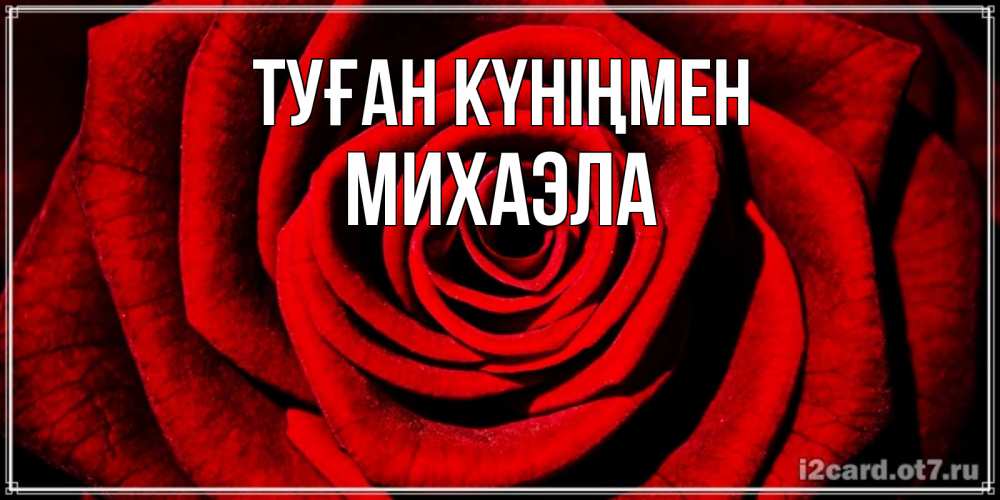 Открытка на каждый день с именем, Михаэла Туған күніңмен алая роза Прикольная открытка с пожеланием онлайн скачать бесплатно 