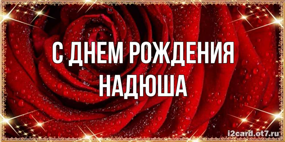 Открытка на каждый день с именем, НАДЮША С днем рождения роса на розе блестящая в лучах солнца Прикольная открытка с пожеланием онлайн скачать бесплатно 