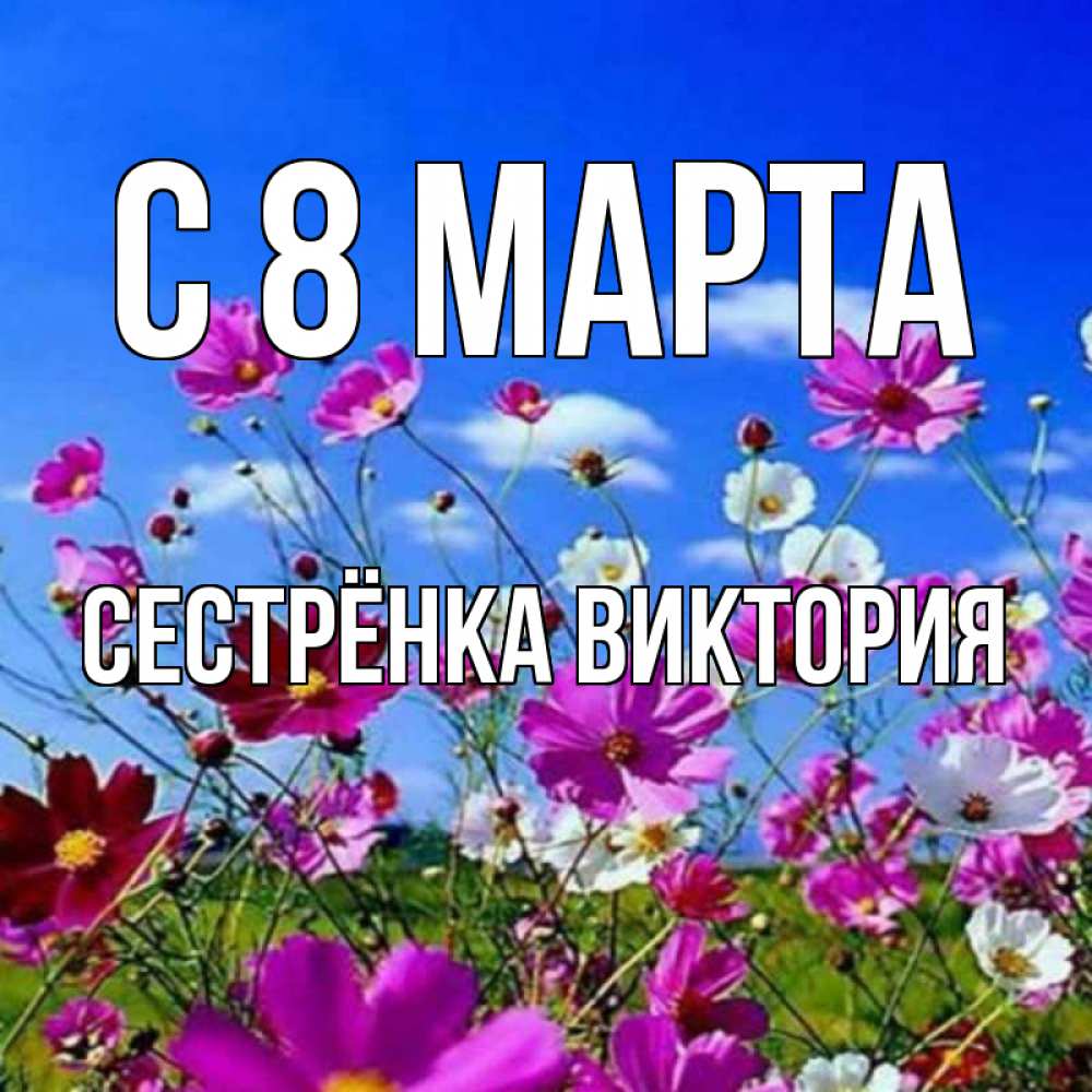 Открытка на каждый день с именем, Сестрёнка-Виктория С 8 МАРТА цветы Прикольная открытка с пожеланием онлайн скачать бесплатно 