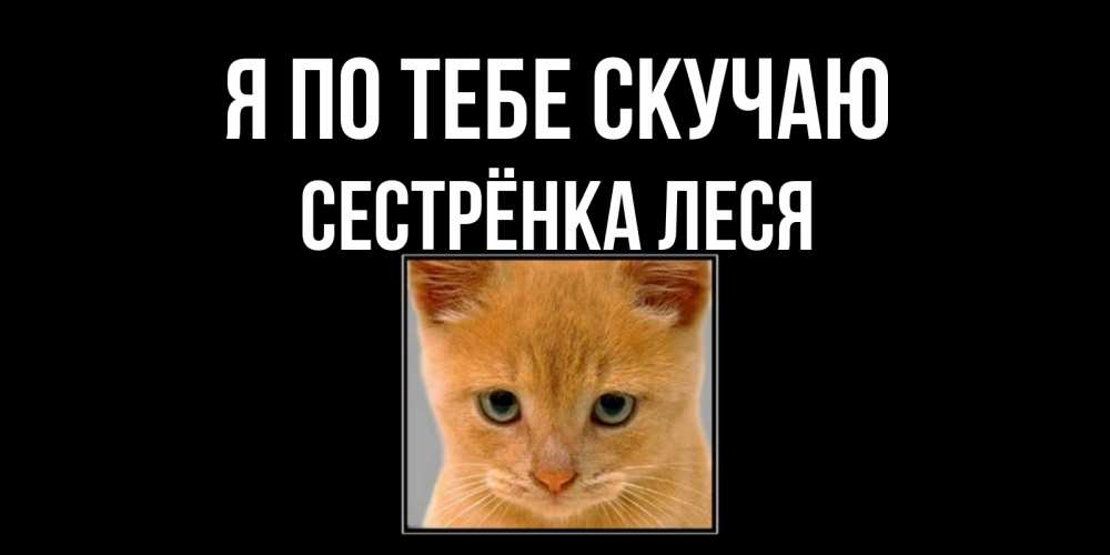 Открытка на каждый день с именем, Сестрёнка-Леся Я по тебе скучаю открытки рыжий котенок скучает по тебе Прикольная открытка с пожеланием онлайн скачать бесплатно 