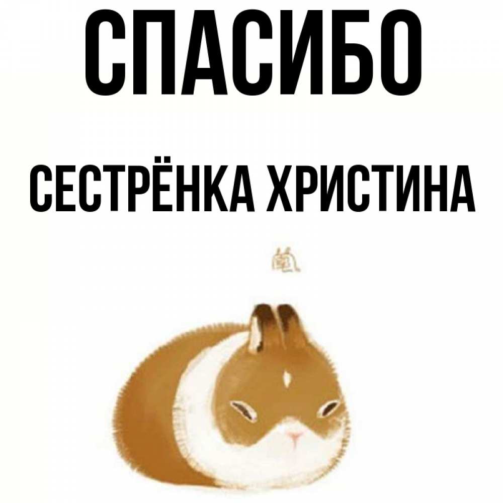 Открытка на каждый день с именем, Сестрёнка-Христина Спасибо коричнево белый домашний питомец Прикольная открытка с пожеланием онлайн скачать бесплатно 