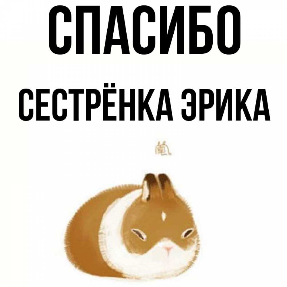 Открытка на каждый день с именем, Сестрёнка-Эрика Спасибо коричнево белый домашний питомец Прикольная открытка с пожеланием онлайн скачать бесплатно 