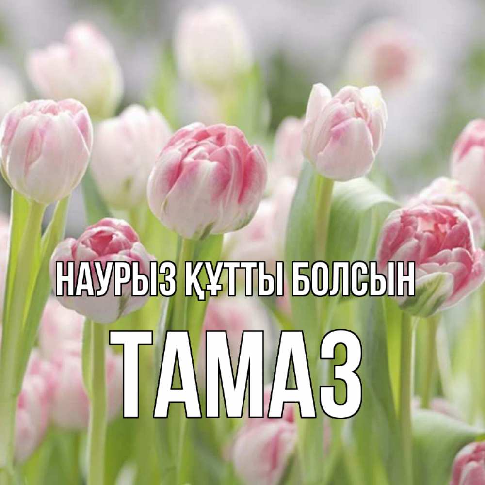 Открытка на каждый день с именем, Тамаз Наурыз құтты болсын цветы Прикольная открытка с пожеланием онлайн скачать бесплатно 