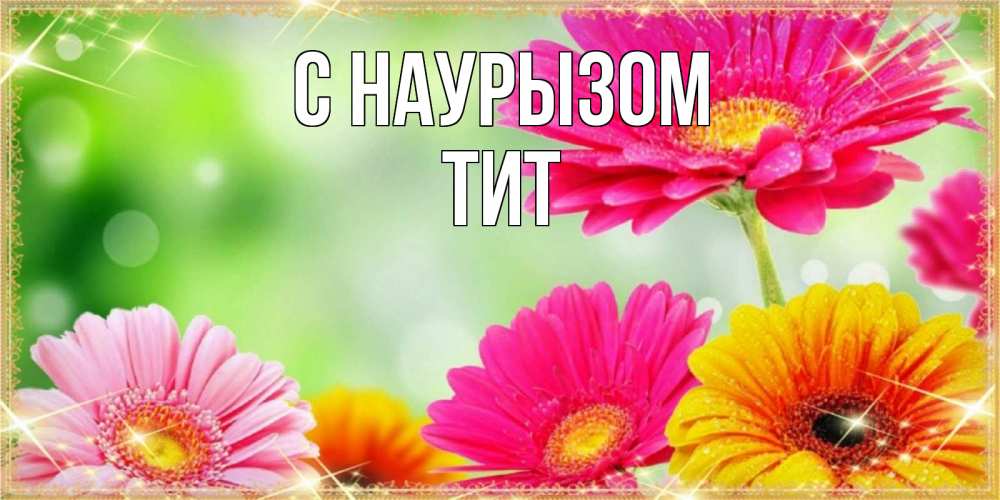 Открытка на каждый день с именем, Тит С наурызом цветочки для любимой женщины Прикольная открытка с пожеланием онлайн скачать бесплатно 