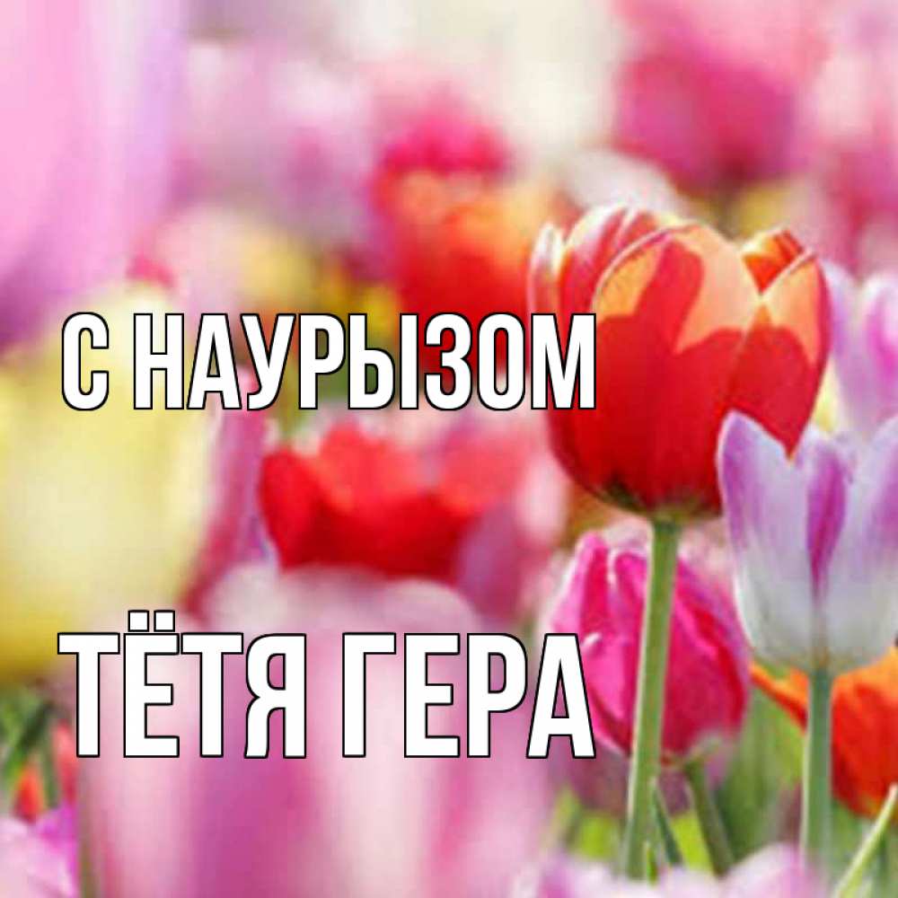 Открытка на каждый день с именем, Тётя-Гера С наурызом праздник весны наурыз 67 Прикольная открытка с пожеланием онлайн скачать бесплатно 