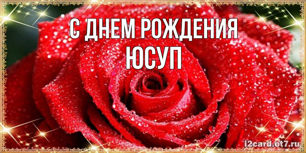Открытка на каждый день с именем, Юсуп С днем рождения роса и роза. открытка с красивой розой Прикольная открытка с пожеланием онлайн скачать бесплатно 