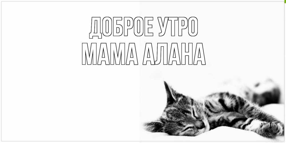 Открытка на каждый день с именем, Мама-Алана Доброе утро котуся Прикольная открытка с пожеланием онлайн скачать бесплатно 