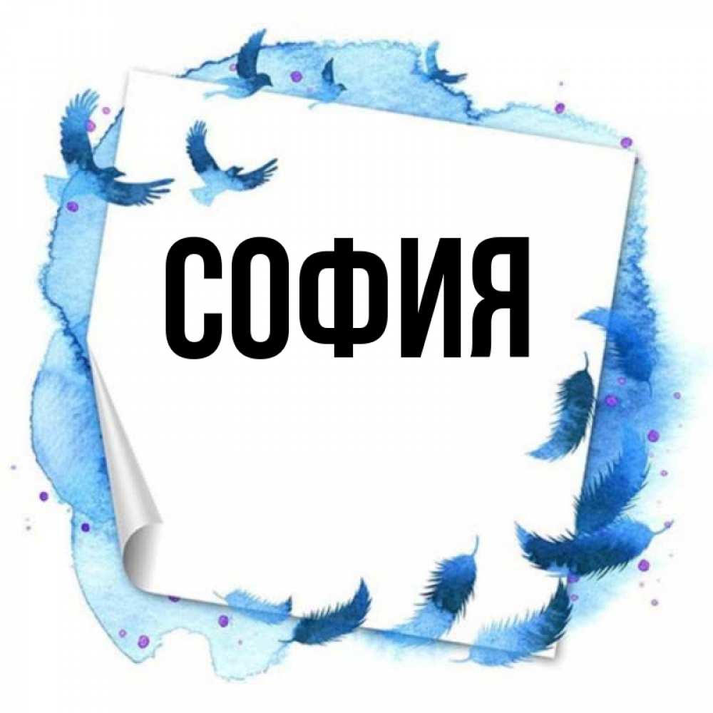 Открытка на каждый день с именем, София Главная красивые птицы летят Прикольная открытка с пожеланием онлайн скачать бесплатно 