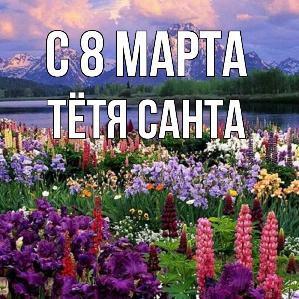 Открытка на каждый день с именем, Тётя-Санта С 8 марта международный женский день Прикольная открытка с пожеланием онлайн скачать бесплатно 